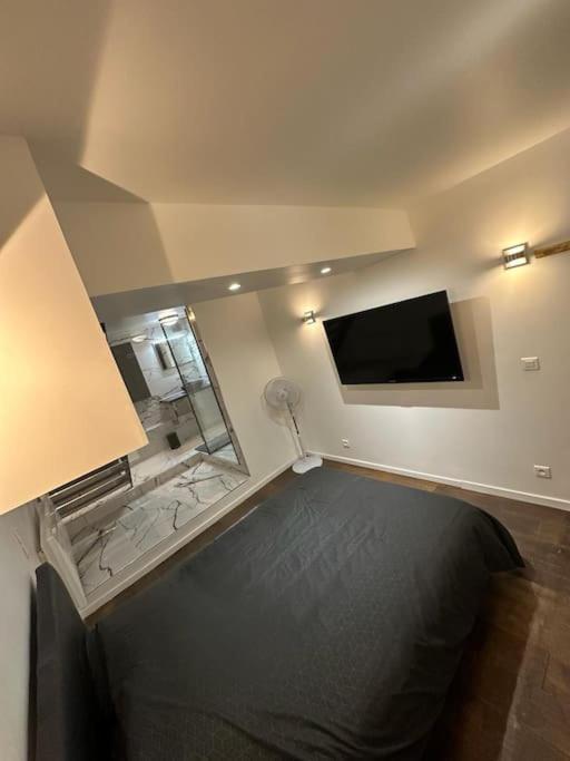 Super Souplex Cinema 4k 15 Appartement Parijs